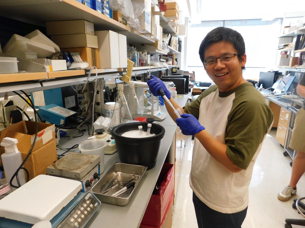 researcher working in the lab