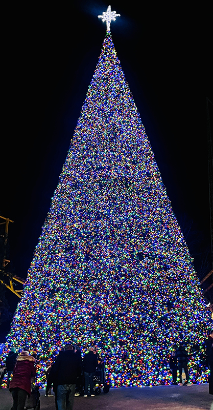 A towering Christmas tree covered in thousands of multicolored lights, glowing brightly against a dark night sky. A white illuminated star sits at the top of the tree. Several people stand at the base, admiring the display.