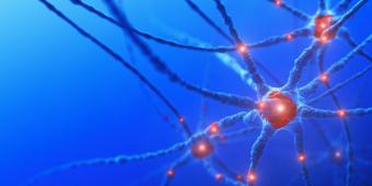 neurons graphic