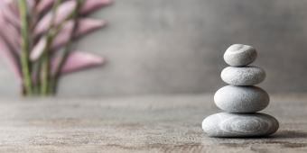 Photo of smooth stones and a plant in the background