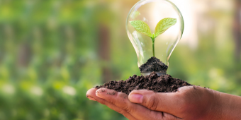 a person's hand holding a pile of dirt with a small tree growing from the pile in a light bulb